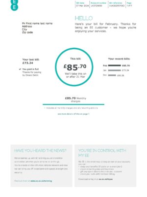 Clean layout of EE {utility type} bill – editable {State} version