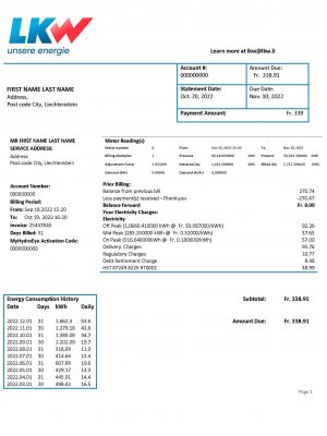 Liechtenstein utility bill template