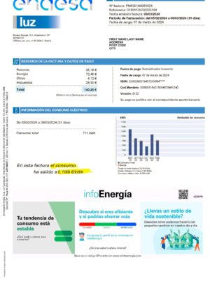 Energy Spain Endesa {utility type} statement from {State} – modifiable PDF template