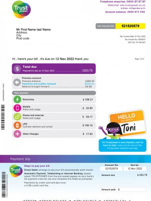 New Zealand utility bill for proof of address