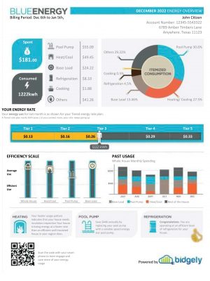 texas utility bill template