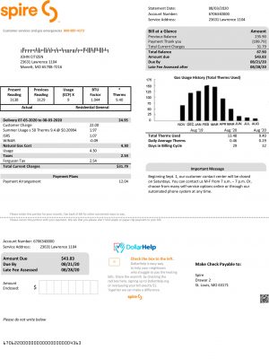 USA utility bill