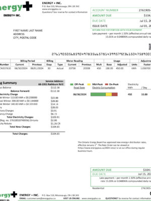 Editable {utility type} bill template – {State} {Provider} sample in PDF