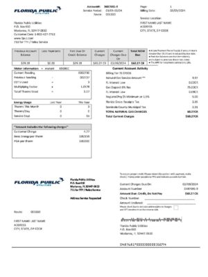 {Provider} {utility type} statement from {State} – modifiable PDF template