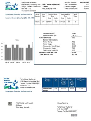 Florida {Provider} {utility type} statement from {State} – modifiable PDF template