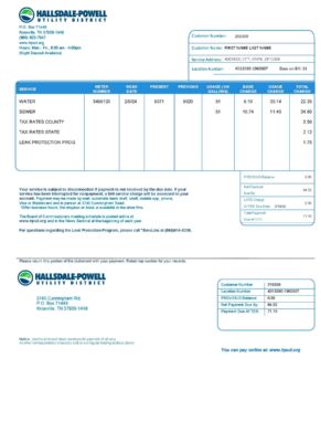 Tennesse {Provider} utility bill from {State} – customizable PDF for address proof