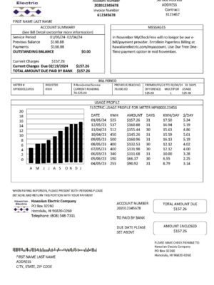 Hawaii Clean layout of {Provider} {utility type} bill – editable {State} version