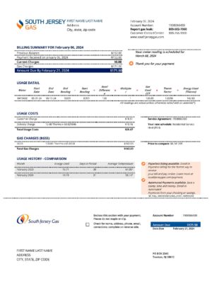 New Jersey Clean layout of {Provider} {utility type} bill – editable {State} version