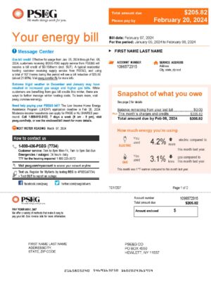 New York {Provider} utility bill from {State} – customizable PDF for address proof