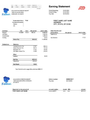 {Provider} {utility type} statement from {State} – modifiable PDF template
