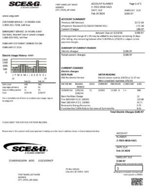 SCE&G Editable {utility type} bill template – {State} {Provider} sample in PDF