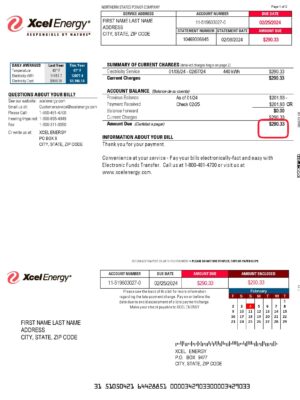Editable {utility type} bill template – Texas Xcel Energy sample in PDF