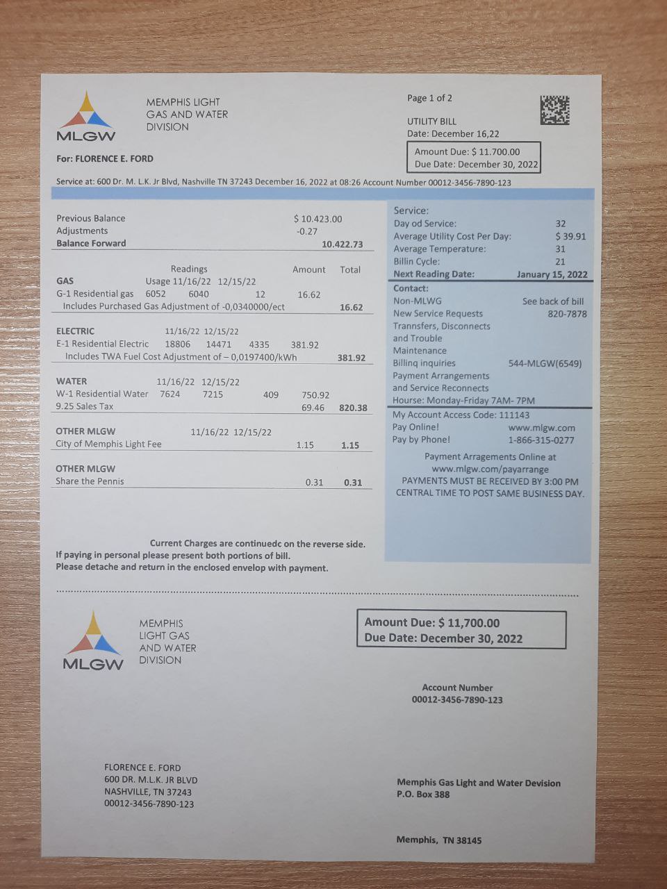 real usa utility bill