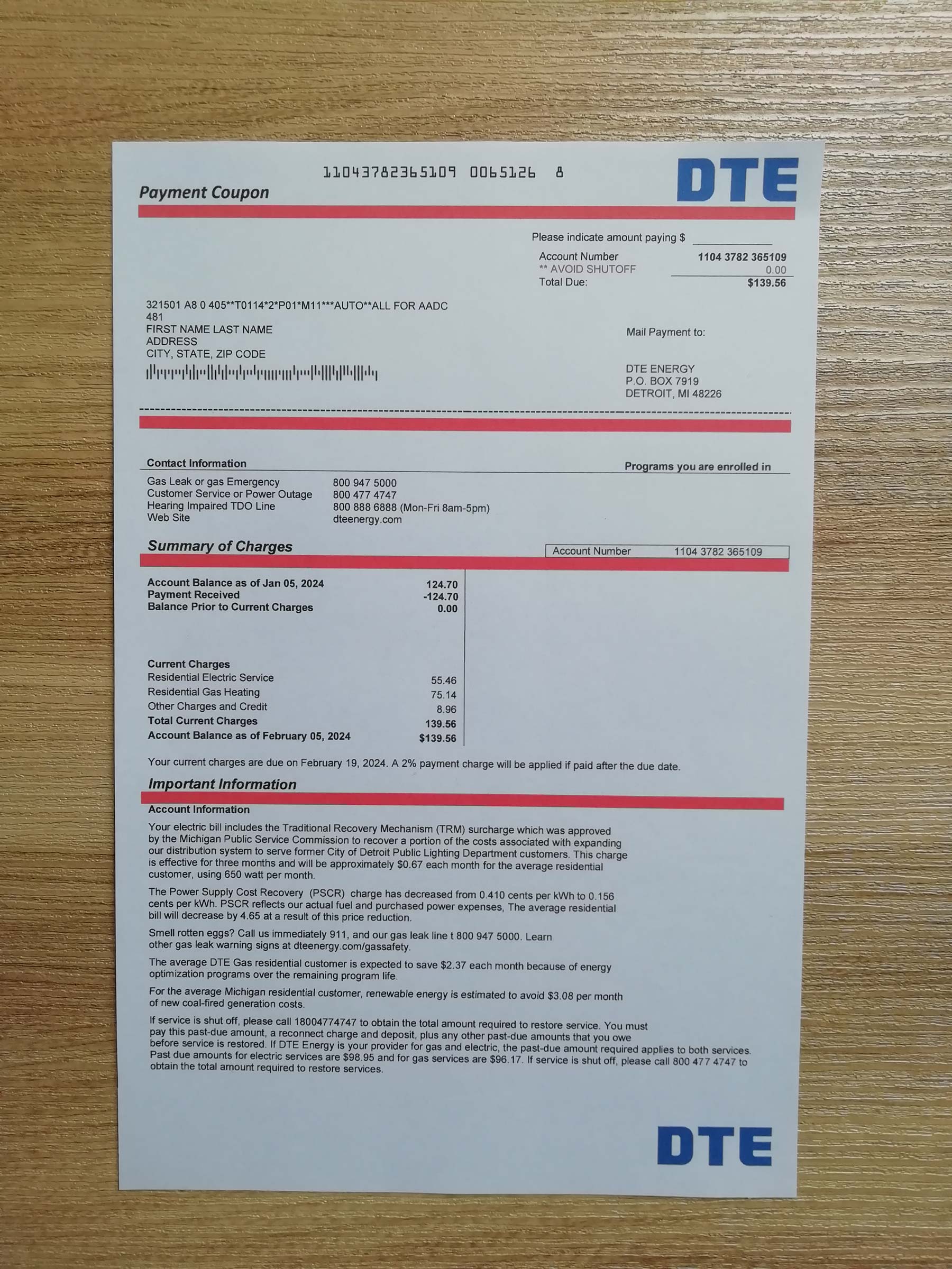 DTE bill printed and photographed – address proof from {State}