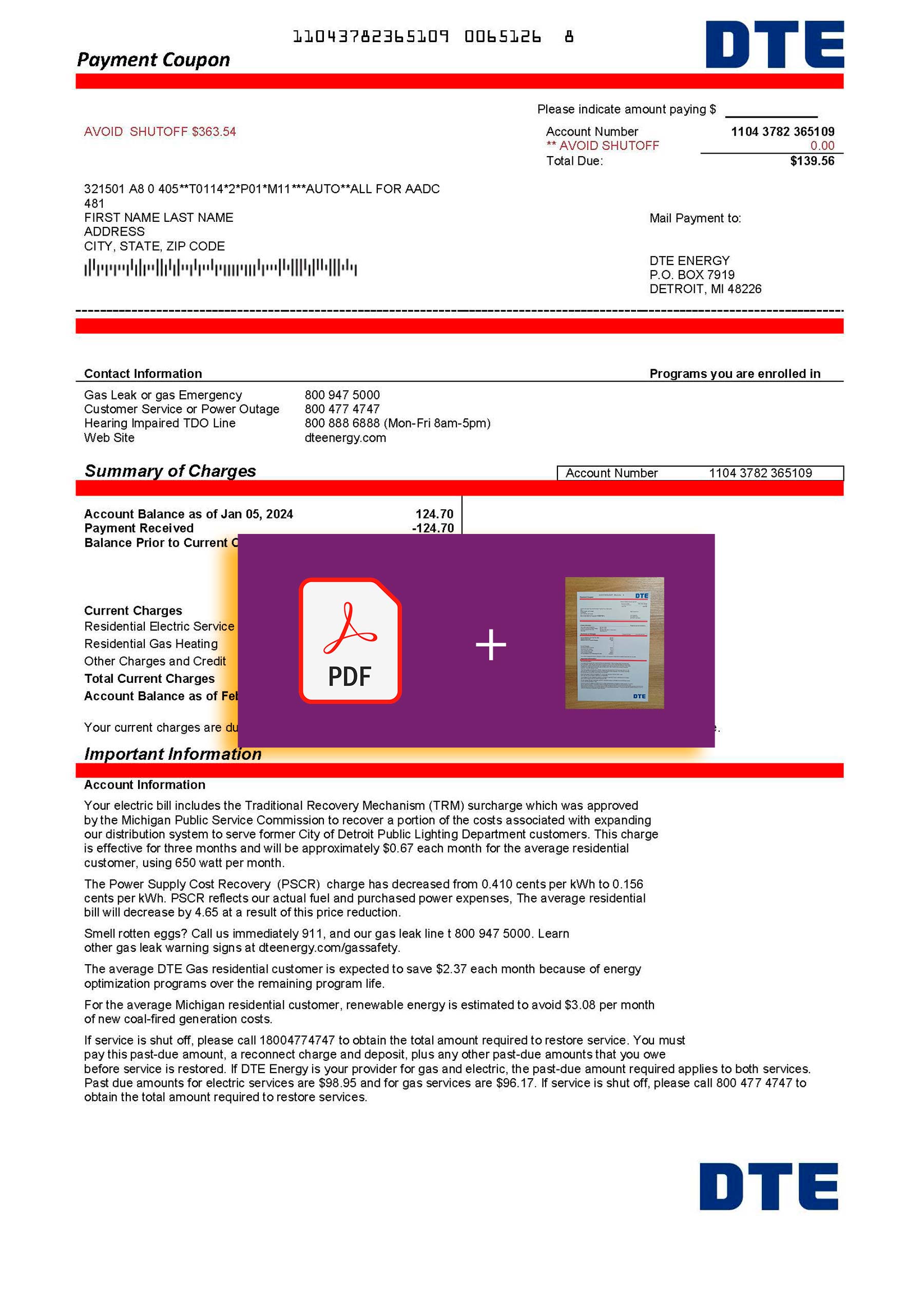 {State} DTE bill template – includes authenticity banner