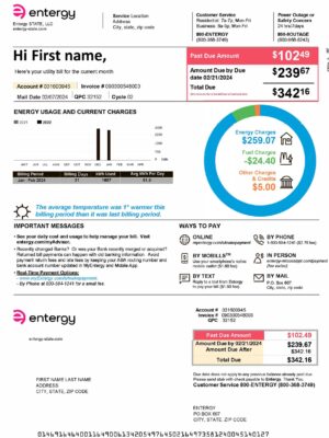 Entergy Entergy {utility type} statement from {State} – modifiable PDF template