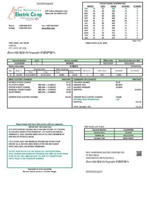 Clean layout of Electric Co-op {utility type} bill – editable New Hampshire version