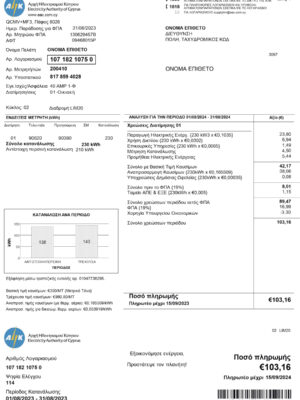 {Provider} {utility type} statement from {State} – modifiable PDF template
