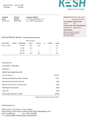 Clean layout of {Provider} {utility type} bill – editable {State} version