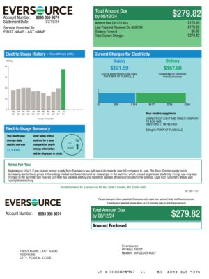 Clean layout of {Provider} {utility type} bill – editable {State} version