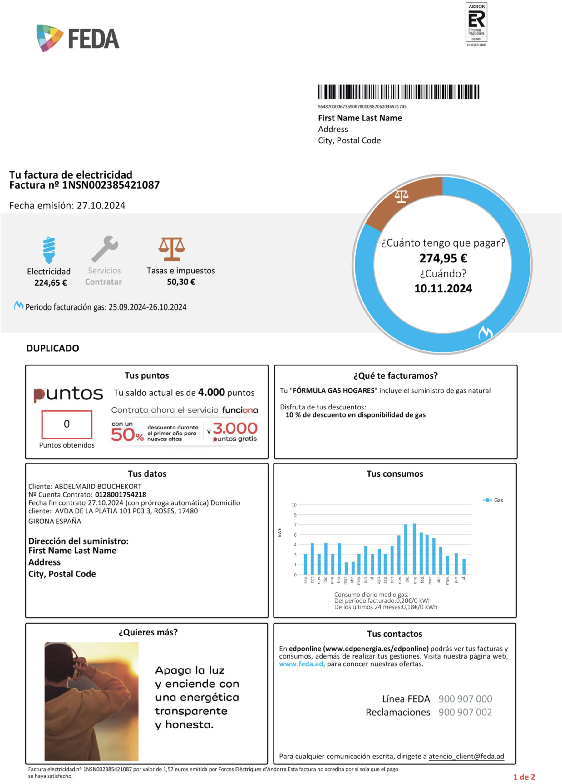 {Provider} {utility type} statement from {State} – modifiable PDF template