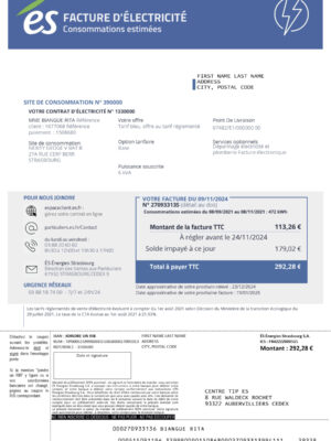 {State} {Provider} A4 utility template – download and edit easily